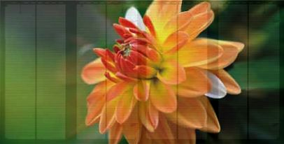 Quanstar transparent LED screen letting daylight through behind the image
